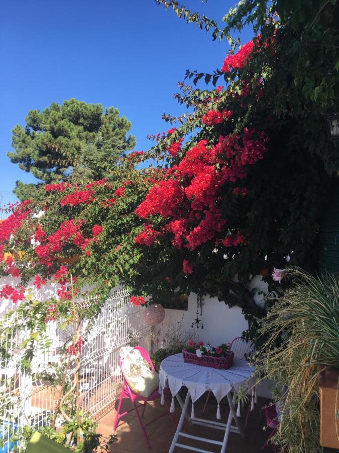 A Casa Do Lagar Daire Azeitao Dış mekan fotoğraf