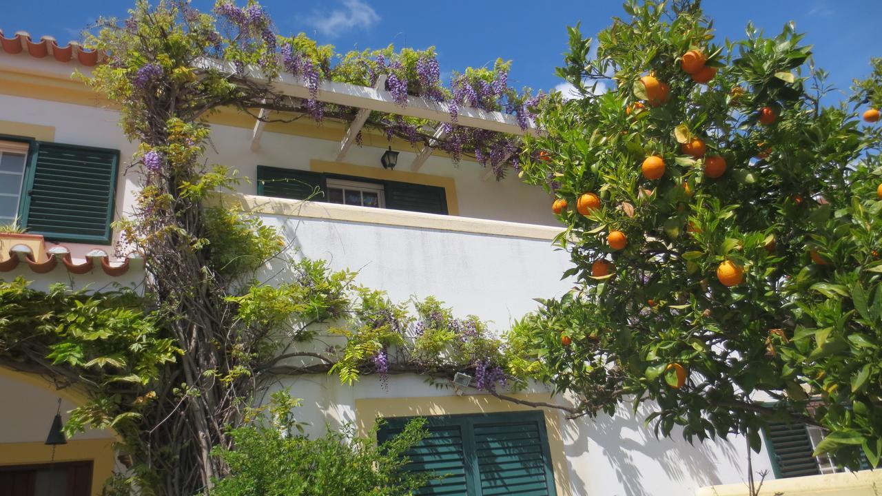 A Casa Do Lagar Daire Azeitao Dış mekan fotoğraf